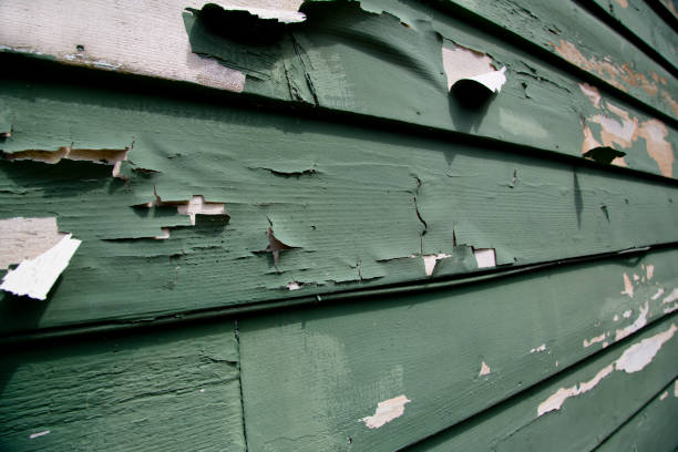 How To Choose The Right Materials for Your Siding Installation in 'San Felipe Pueblo, NM